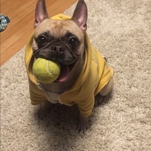 Meet your Posher, Gina